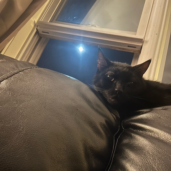 Meet your Posher, Michaela ft. Manny - Picture 11 of 11